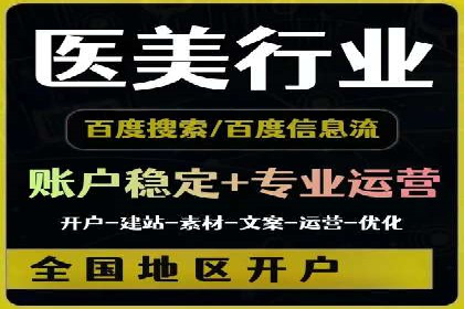 成功运用SEM技术提升网站流量的案例研究