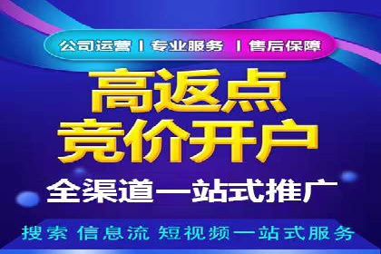 某电商平台的SEM竞价推广实践